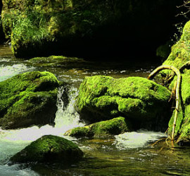 Beskid noclegi
