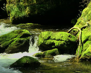 Beskid noclegi